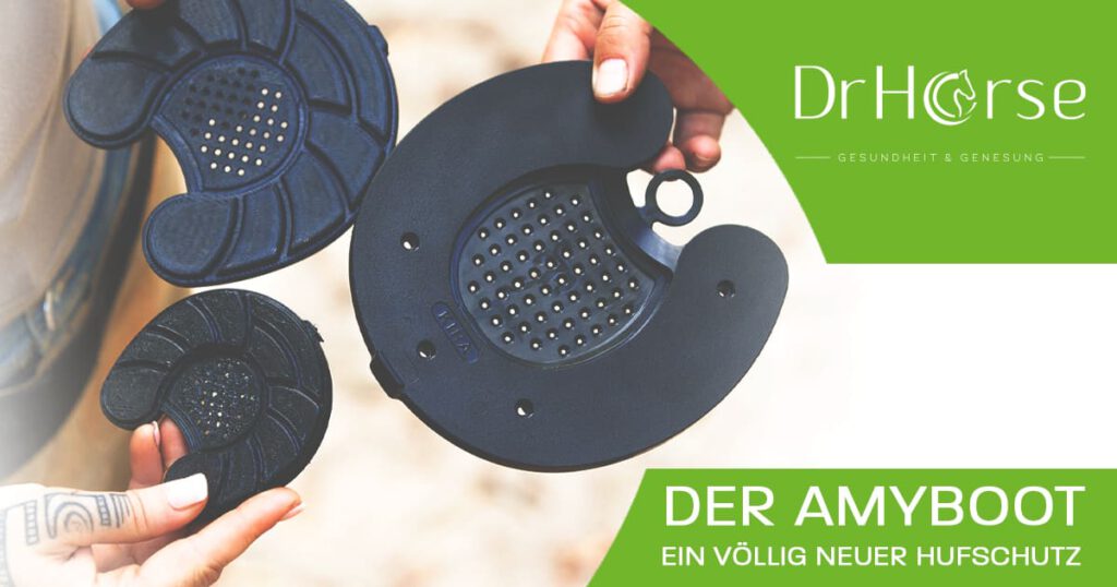 Amyboot Partner Amyboot Zertifiziert Amyboot