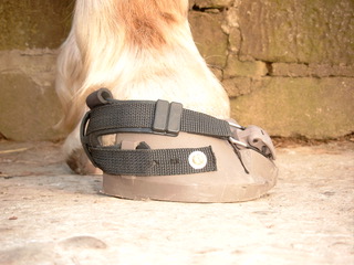 Hufschuhe anpassen Hufschuhvertrieb Hufschuhe